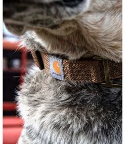 Carhartt Tradesman Dog Collar