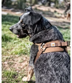 Carhartt Dog Adjustible Walking Harness - Brown 7 Carhartt Dog Adjustible Walking Harness - Brown -Clothing Store 313058 P000034120103 PROD 3 BROWN