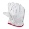 Women's Manhandler Gloves 1 Women's Manhandler Gloves -Clothing Store 38216 1651 PROD 1 ASSORT