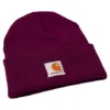 Carhartt Unisex Youth Watch Hat - Dark Purple -Clothing Store 396058 CB8990 L186 PROD 1 DKPURP