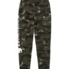 Carhartt Youth Boys' Camo Logo Sweatpants -Clothing Store 408326 CK8421 CR14 J PROD 2 GBLIND